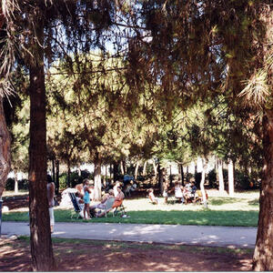 07167 Parc del Poblenou 2005