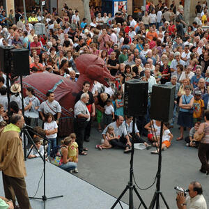 08490 Festa Major 2007