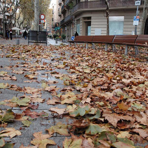 12800 Tardor a la Rambla 2013