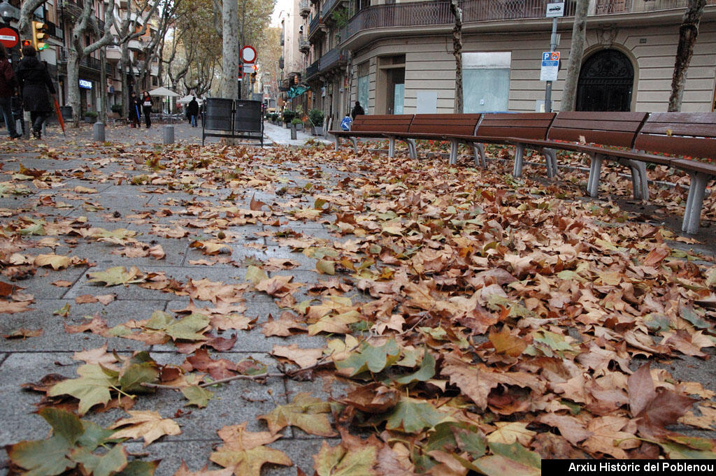 12800 Tardor a la Rambla 2013