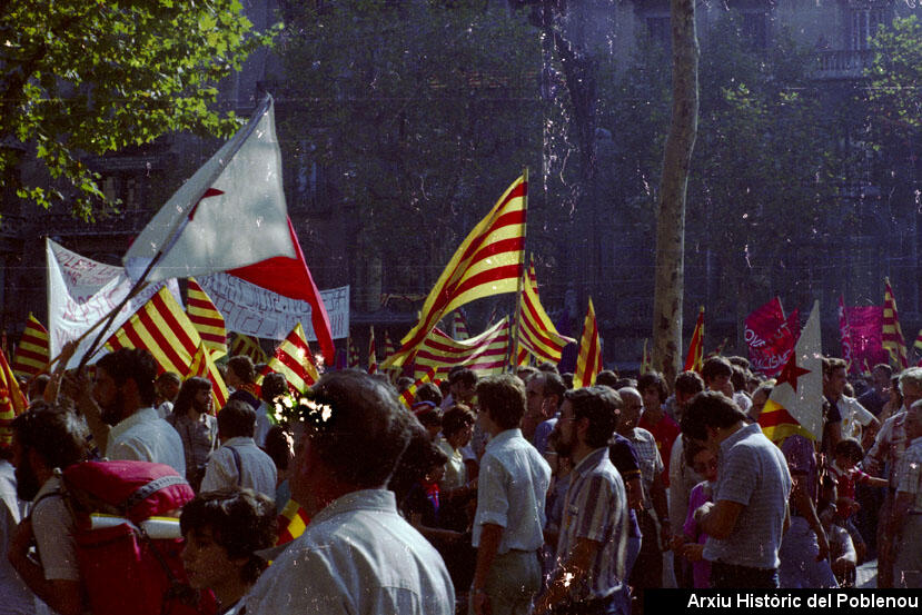 07873 Manifestació 1977