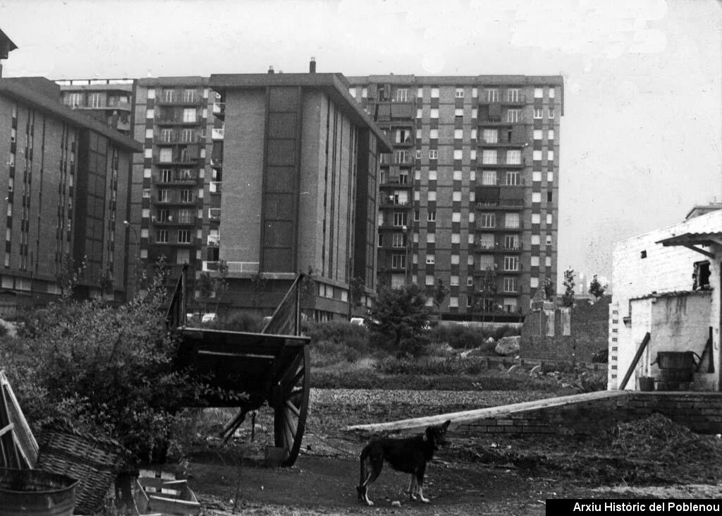 01785  Masia a Pallars [1973]