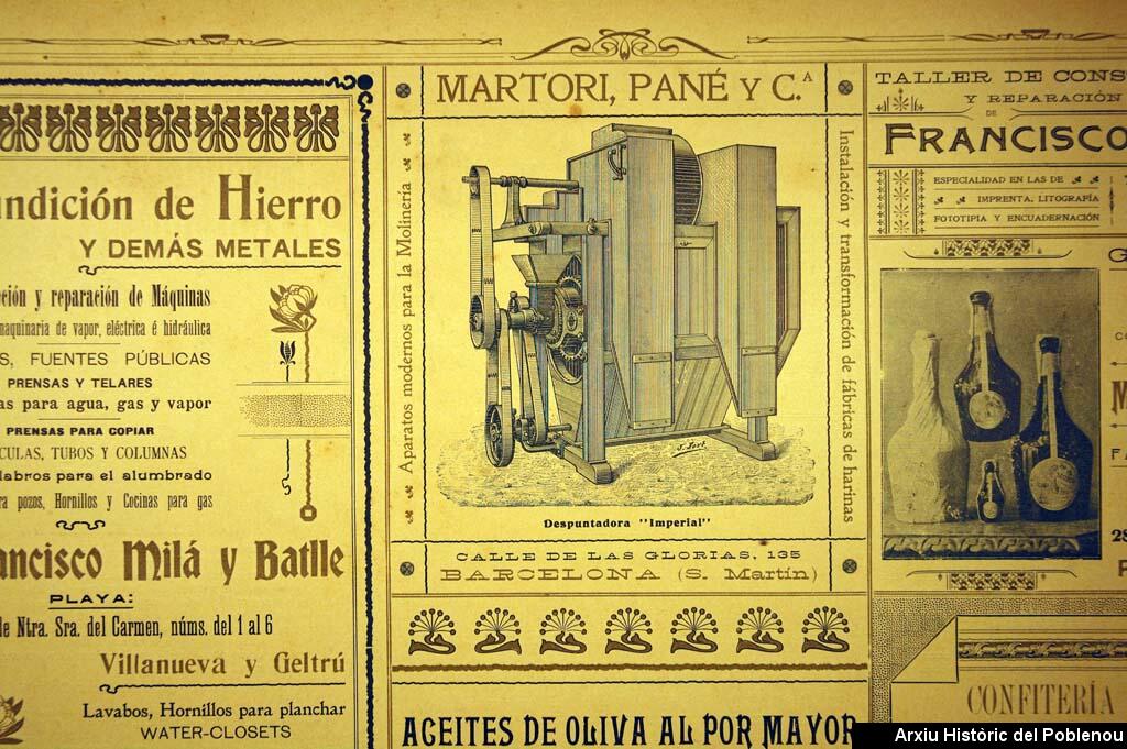 10134 Martori Pané 1905