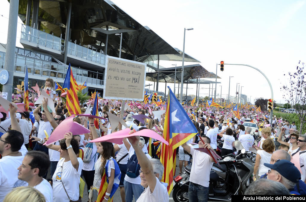 14091 Diada Catalunya 2015