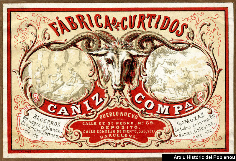 14885 Cañiz curtidos [1920]