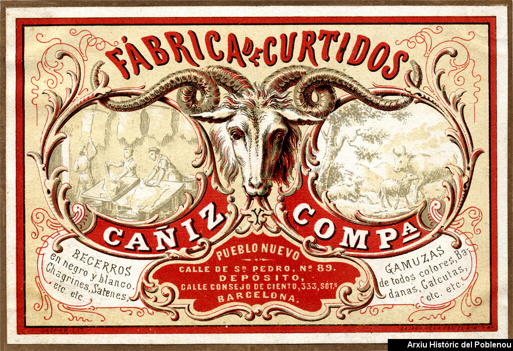 14885 Cañiz curtidos [1920]