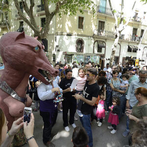 15264 Festes de maig 2017