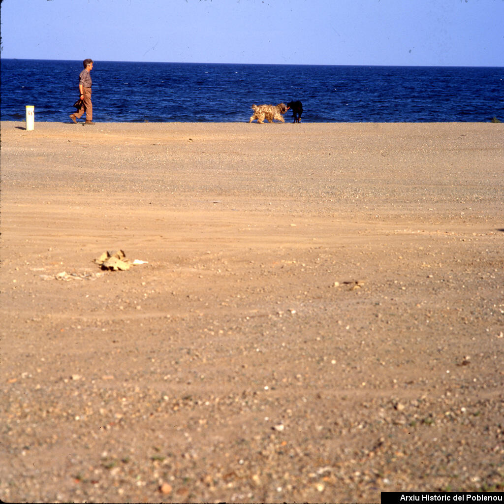 16405 Platja de la Mar Bellal [1987]