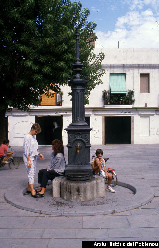 16561 Plaça Prim 1987