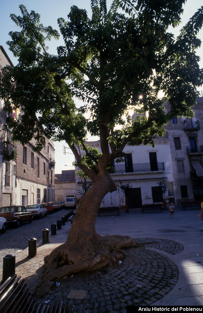 16581 Plaça Prim 1987