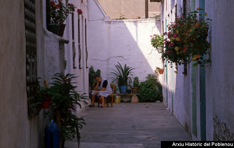 16597 Habitatges 1987