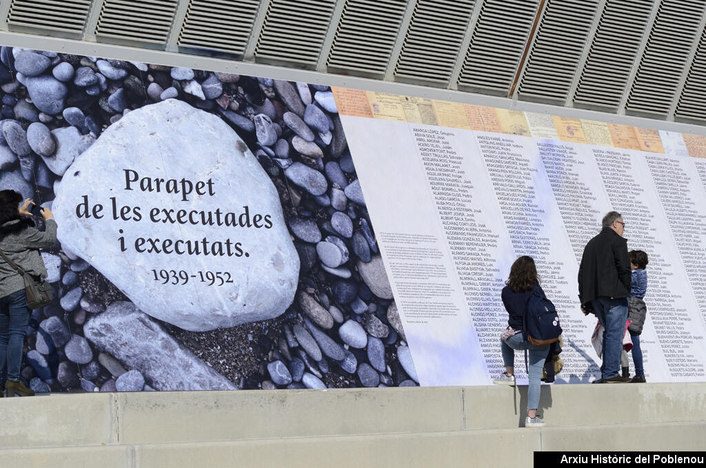 17146 Parapet executats 2019