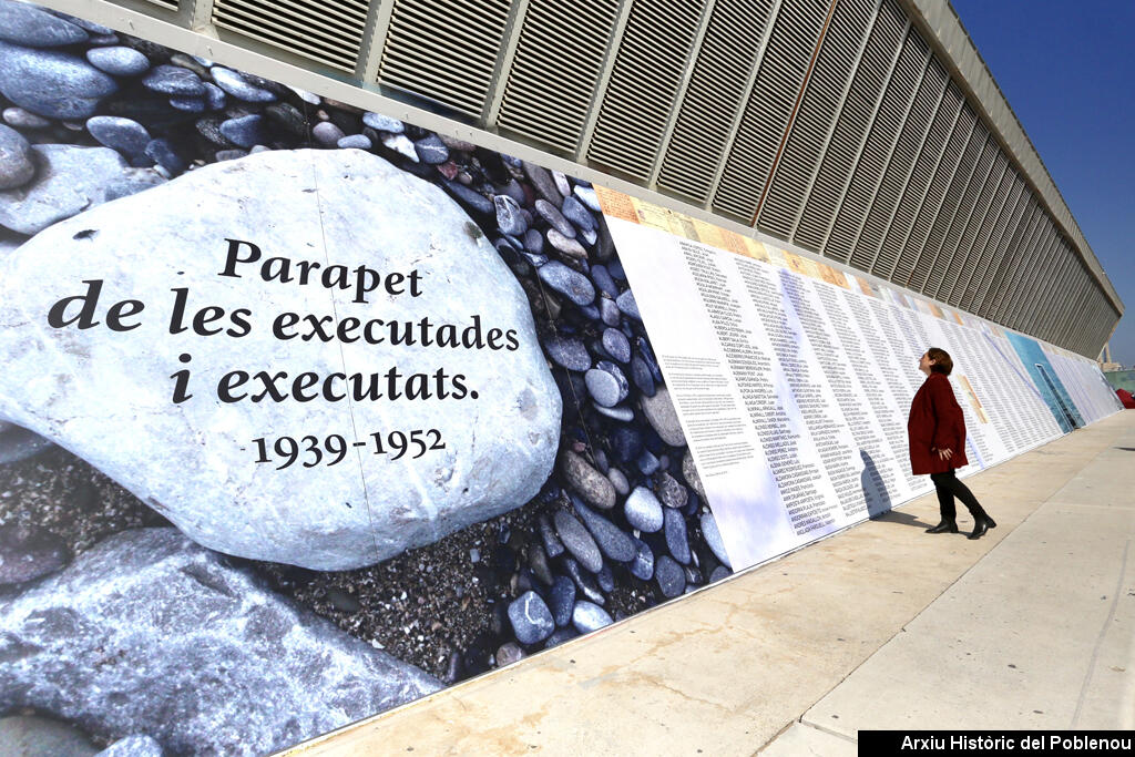 17160 Parapet executats 2019