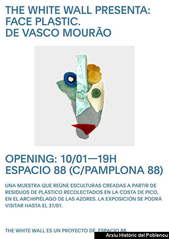 0498. ESPACIO 88. Gener 2019