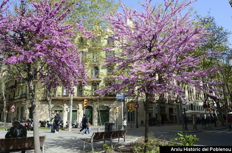 20231 Rambla del Poblenou 2021