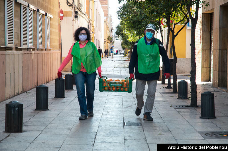 21265 Tarongers de carrer 2022