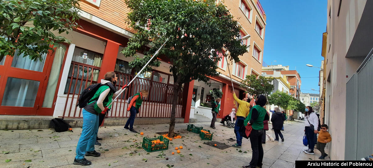 21258 Tarongers de carrer 2022