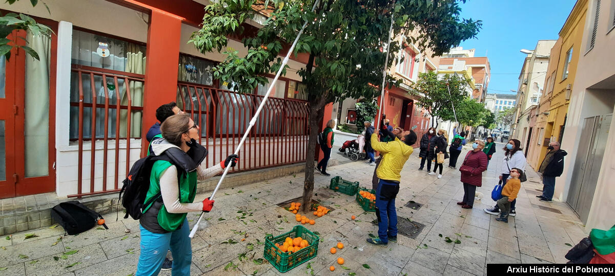 21259 Tarongers de carrer 2022