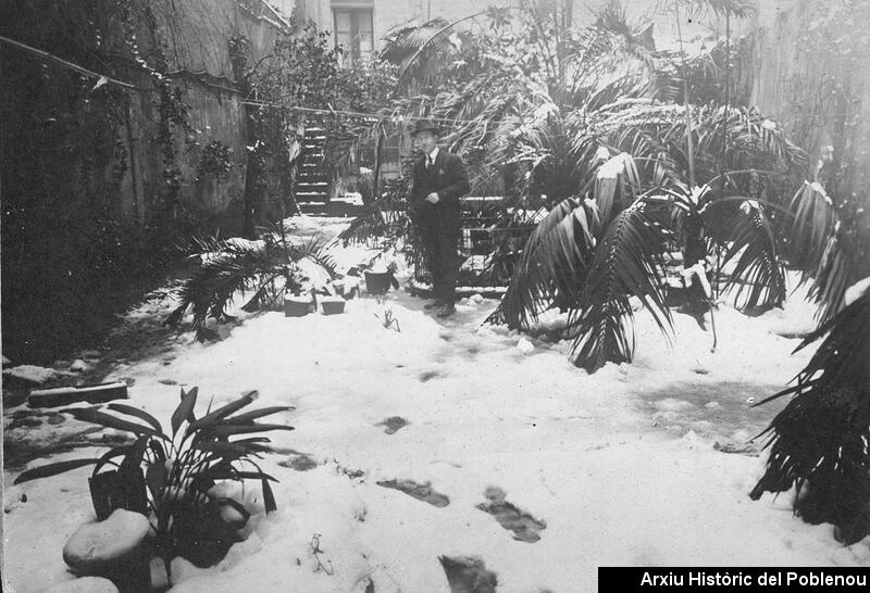 21531 Jardí nevat [1920]