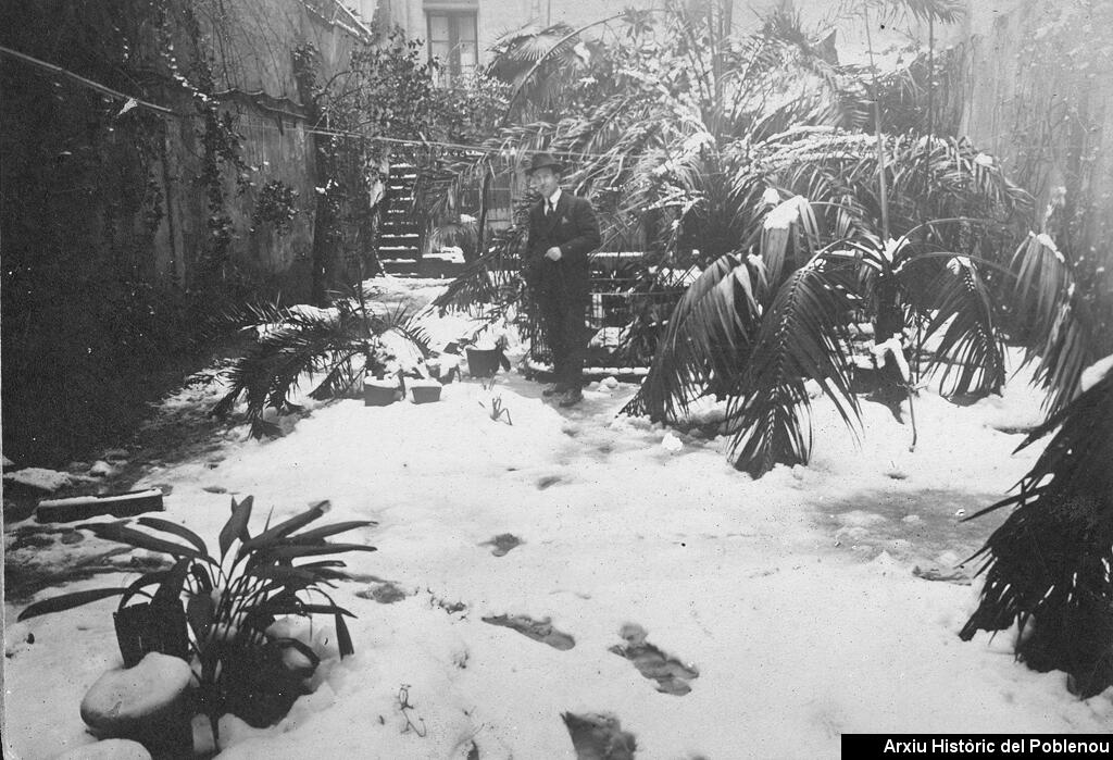 21531 Jardí nevat [1920]