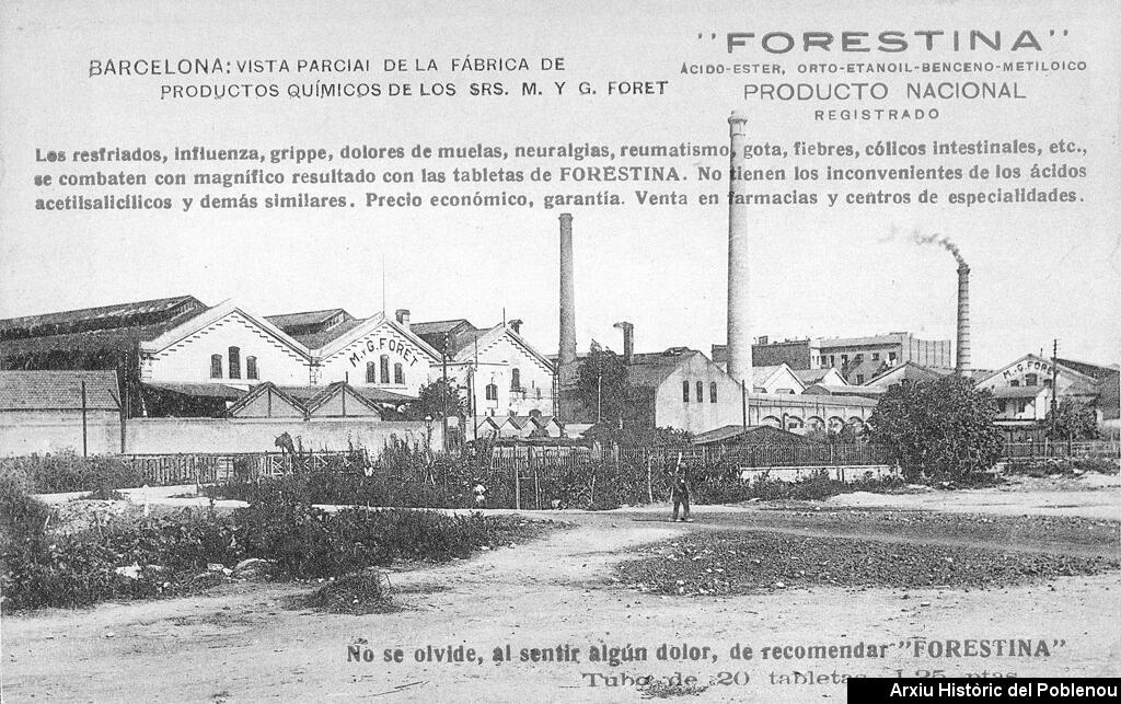 21607 FORET [1920]