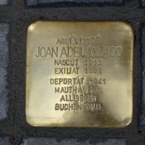 23541 Joan Adelantado Andreu 2024
