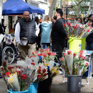 23556 San Jordi 2024