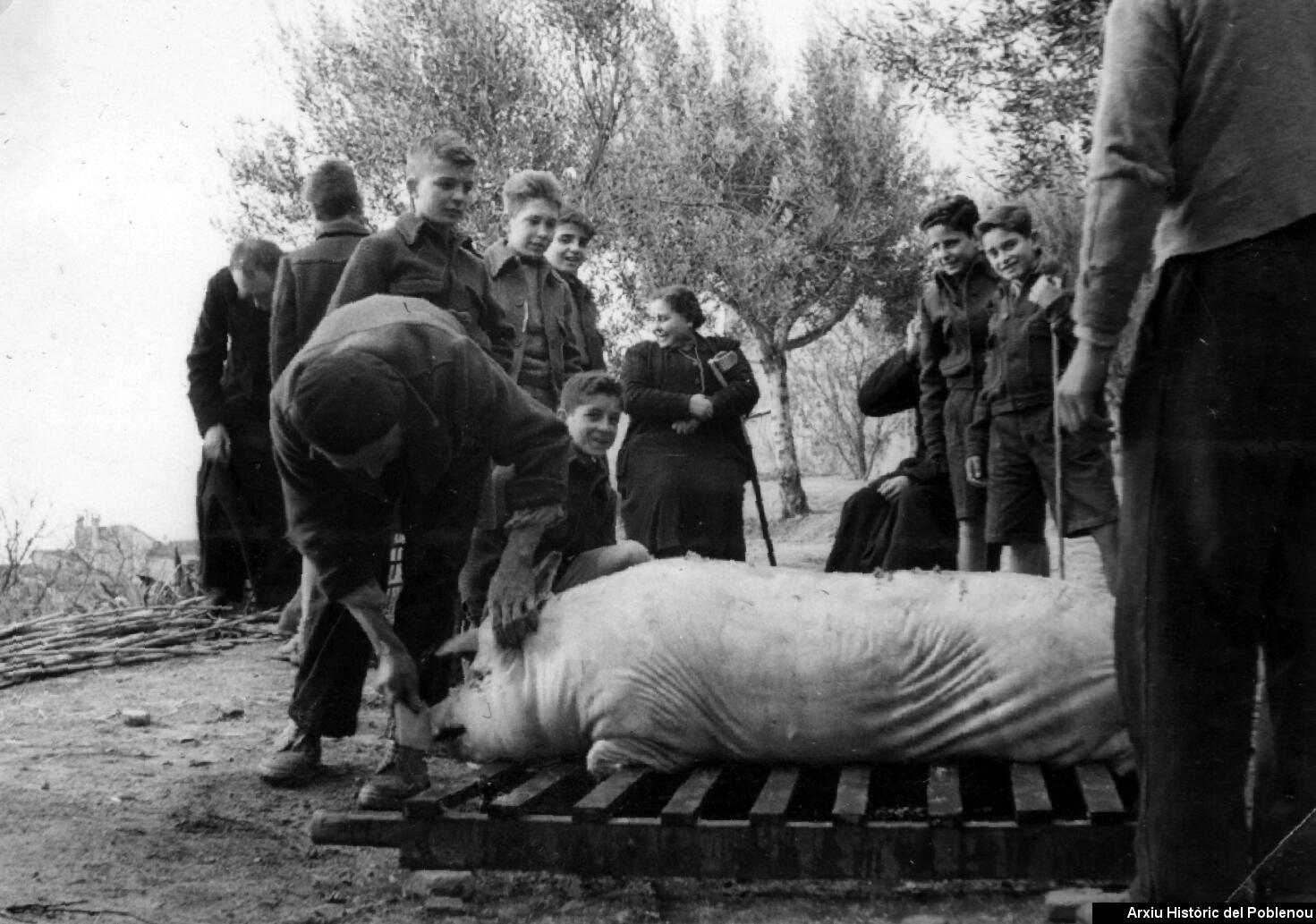 23660 Protecció de menors 1954