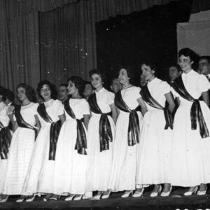 23934 Orfeó Virolai [1954]