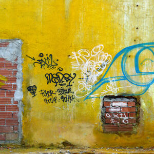 24258 Enderrocs al Poblenou 2009