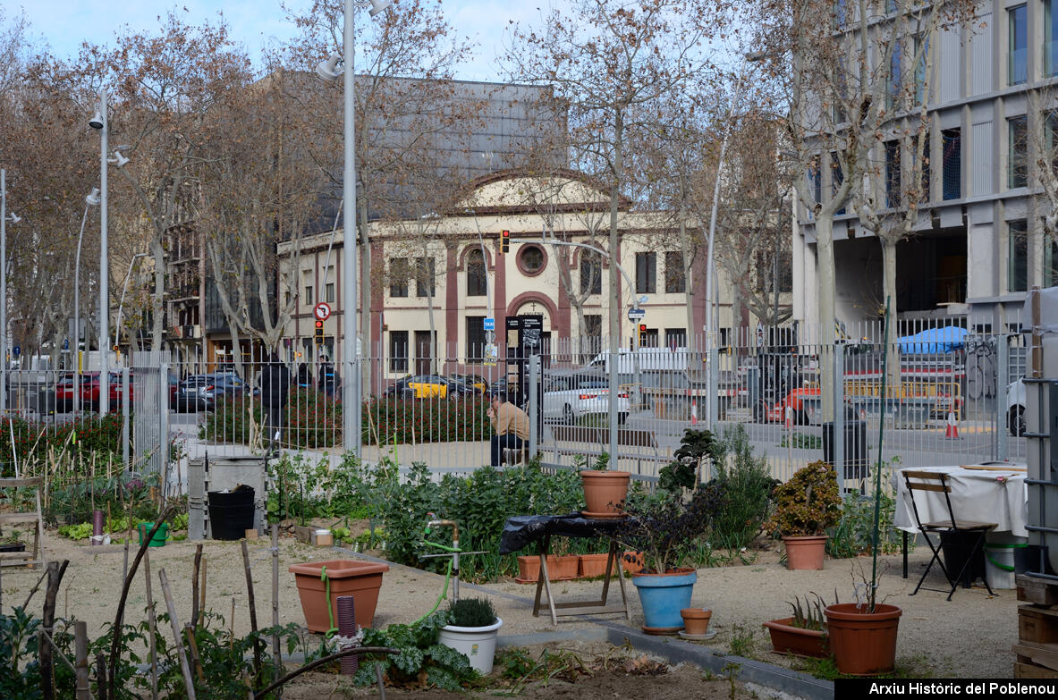 24385 Hort del Cànem 2025