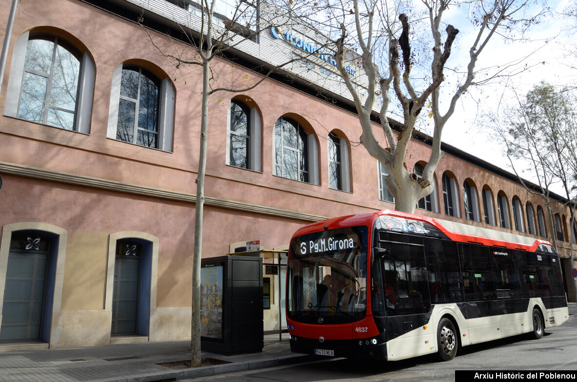 24389 El Cànem 2025