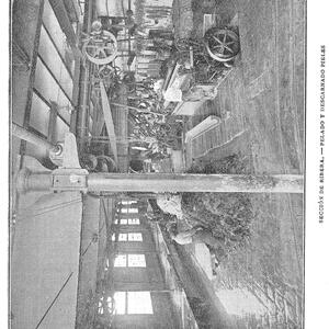 24533 JOSÉ DURALL 1916