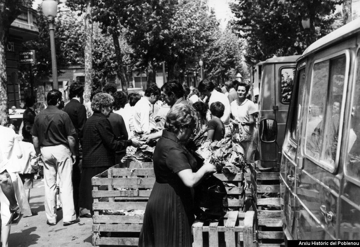 24728 La Flor de Maig 1982