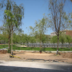 24937 Parc del Centre 2007