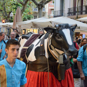 24984 El batec del Taulat 2025