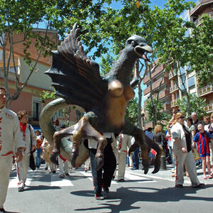 08314 Festes de Maig 2007