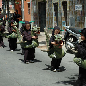 08315 Festes de Maig 2007