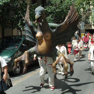 08316 Festes de Maig 2007