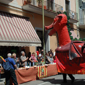 08318 Festes de Maig 2007