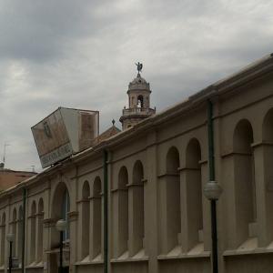 Salida Vendrell 2009-458