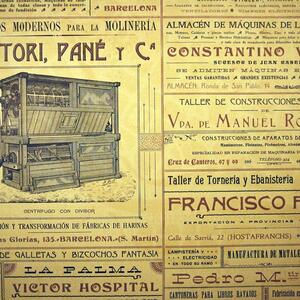 10133 Martori Pané 1905