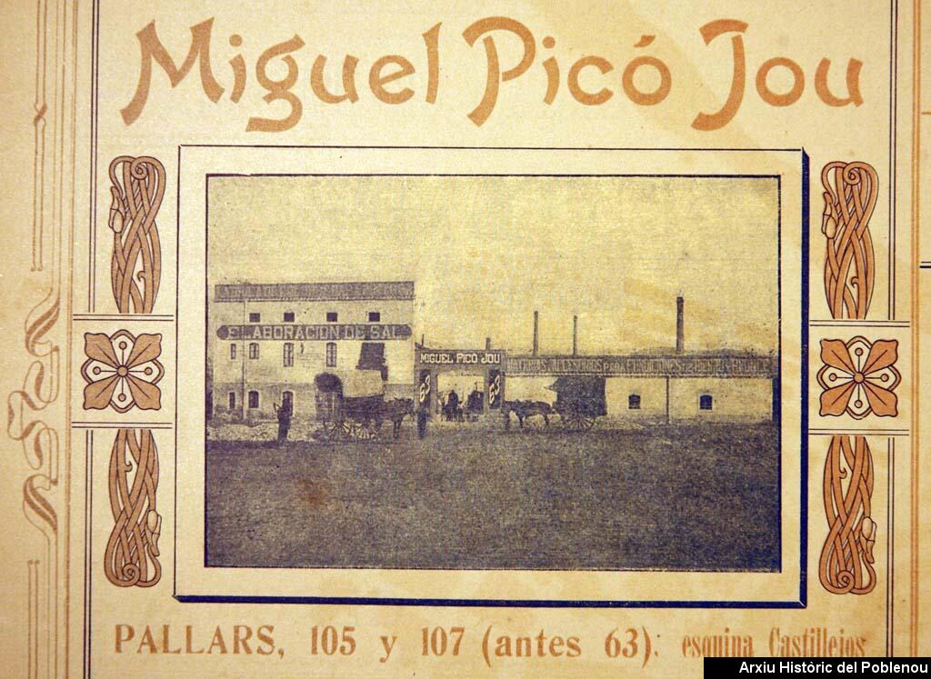 10136 Miguel Picó Jou 1905