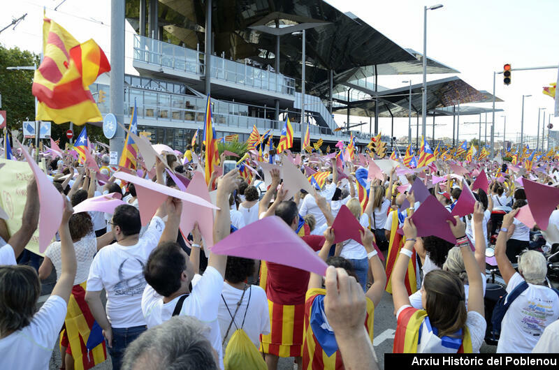 14088 Diada Catalunya 2015