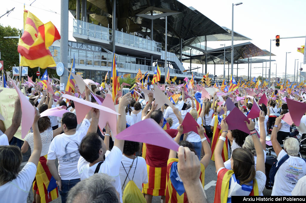 14088 Diada Catalunya 2015