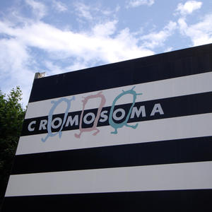 Visita Estudi Cromosoma 01