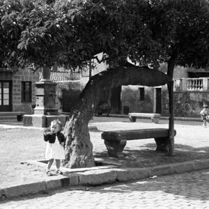 20040 Plaça Prim 1954