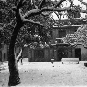 20092 Plaça Prim nevada 1962