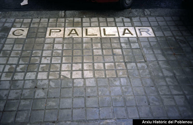 06946 Pallars 2004