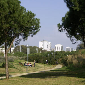 07512 Parc del Poblenou 2006